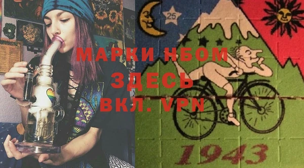 ГАЛЛЮЦИНОГЕННЫЕ ГРИБЫ Новозыбков