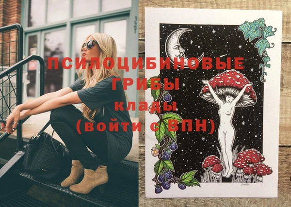 spice Абинск