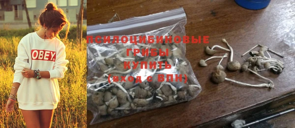 spice Абинск